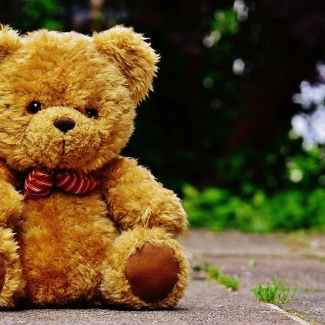 Oso de peluche 40 cm