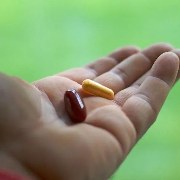 Antiparasitario interno