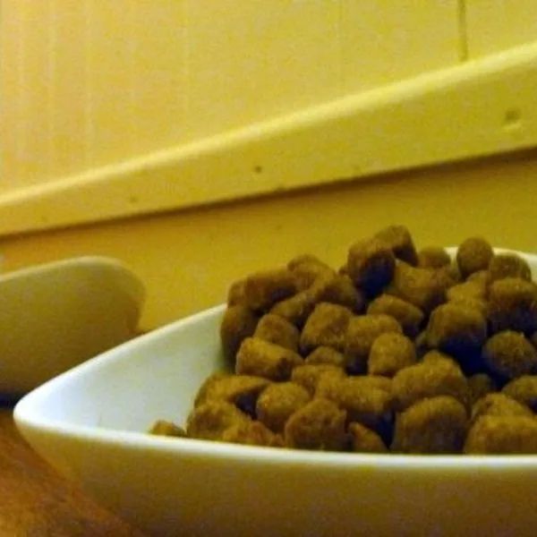 Alimento perro adulto 15 kg